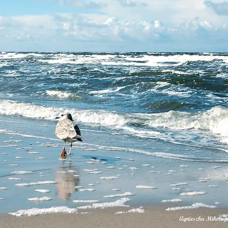 Apartament Pobierowo Pobierowo