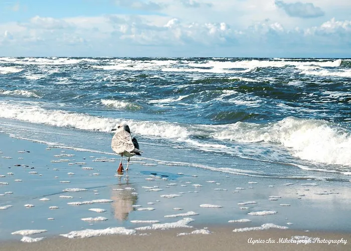 Apartament Pobierowo Pobierowo